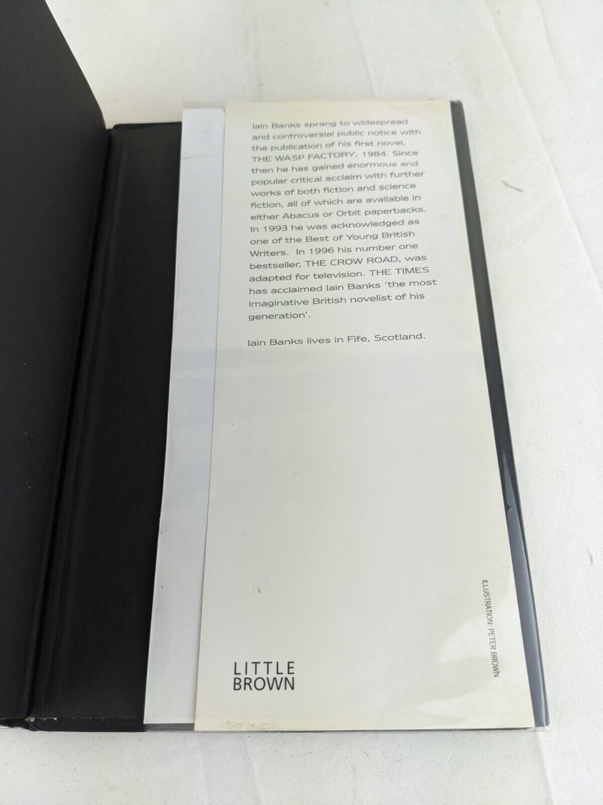 The business by Iain Banks Hardcover 1999