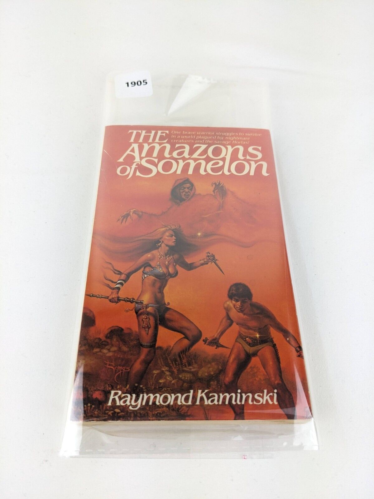 The amazons of Somelon by Raymond Kaminski 1983