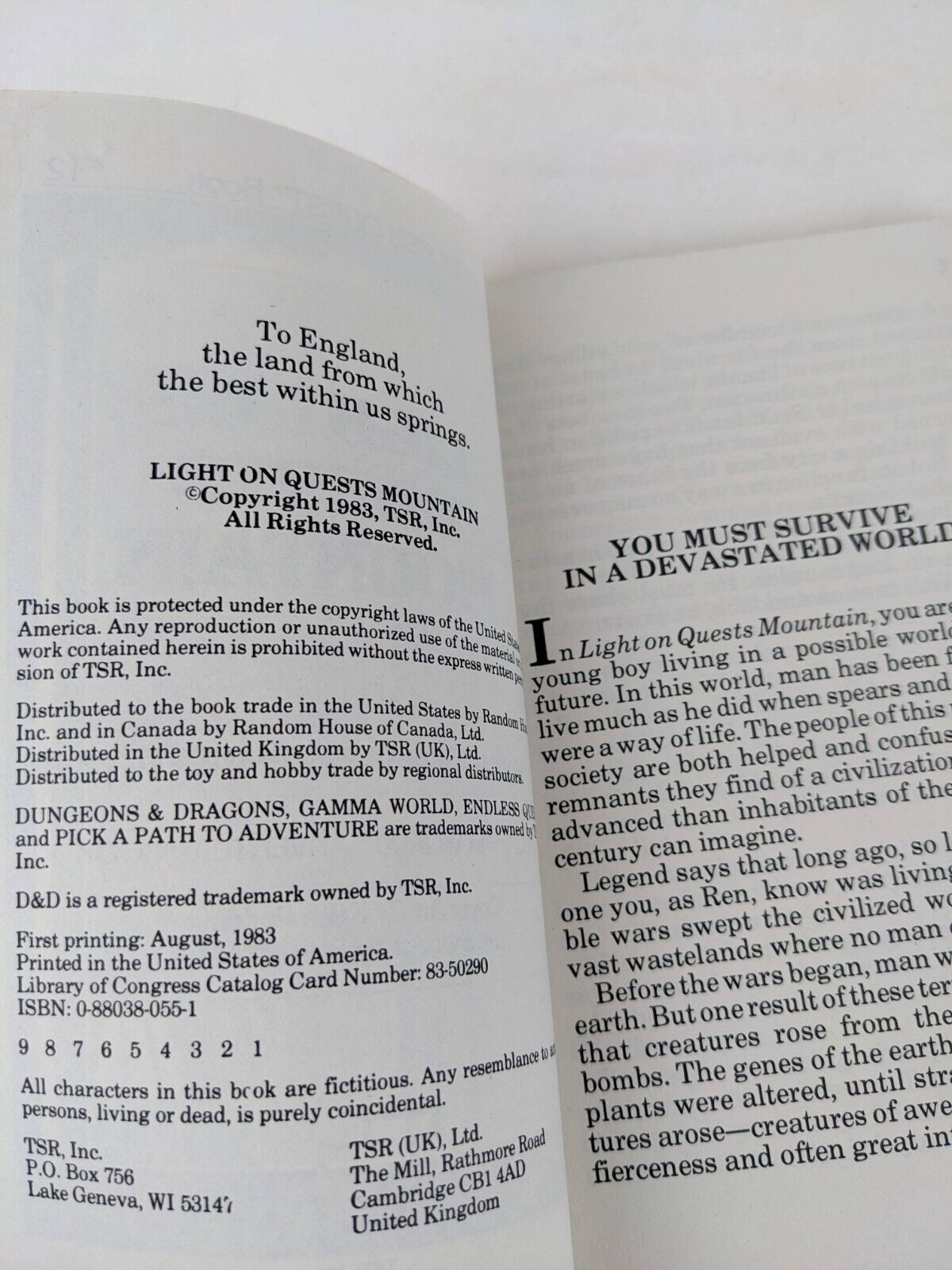 Dungeons & Dragons Light on Quests mountain by Mary L. Kirchoff / James M. Ward