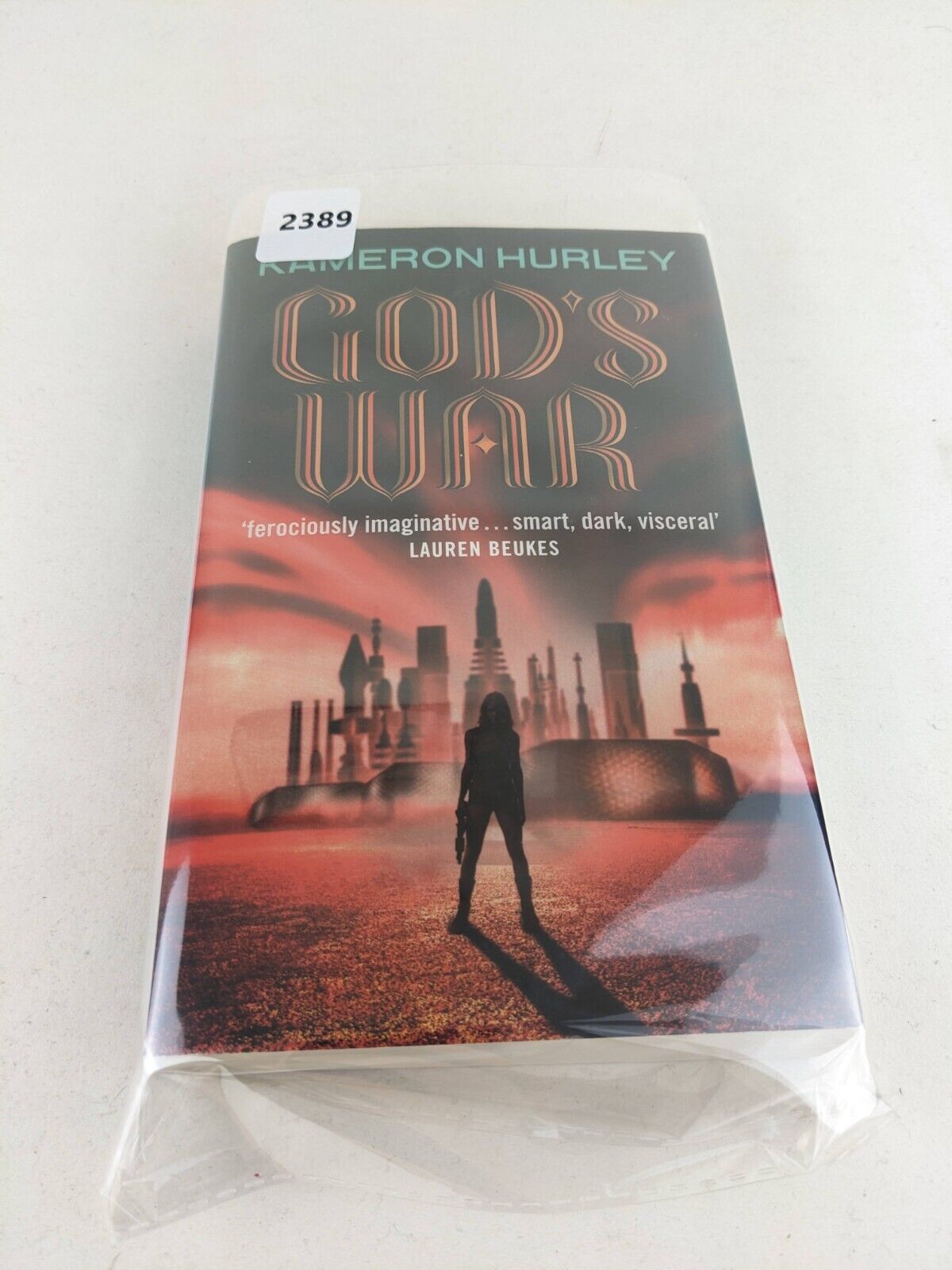 God's war by Kameron Hurley 2014 Bel Dame Apocrypha