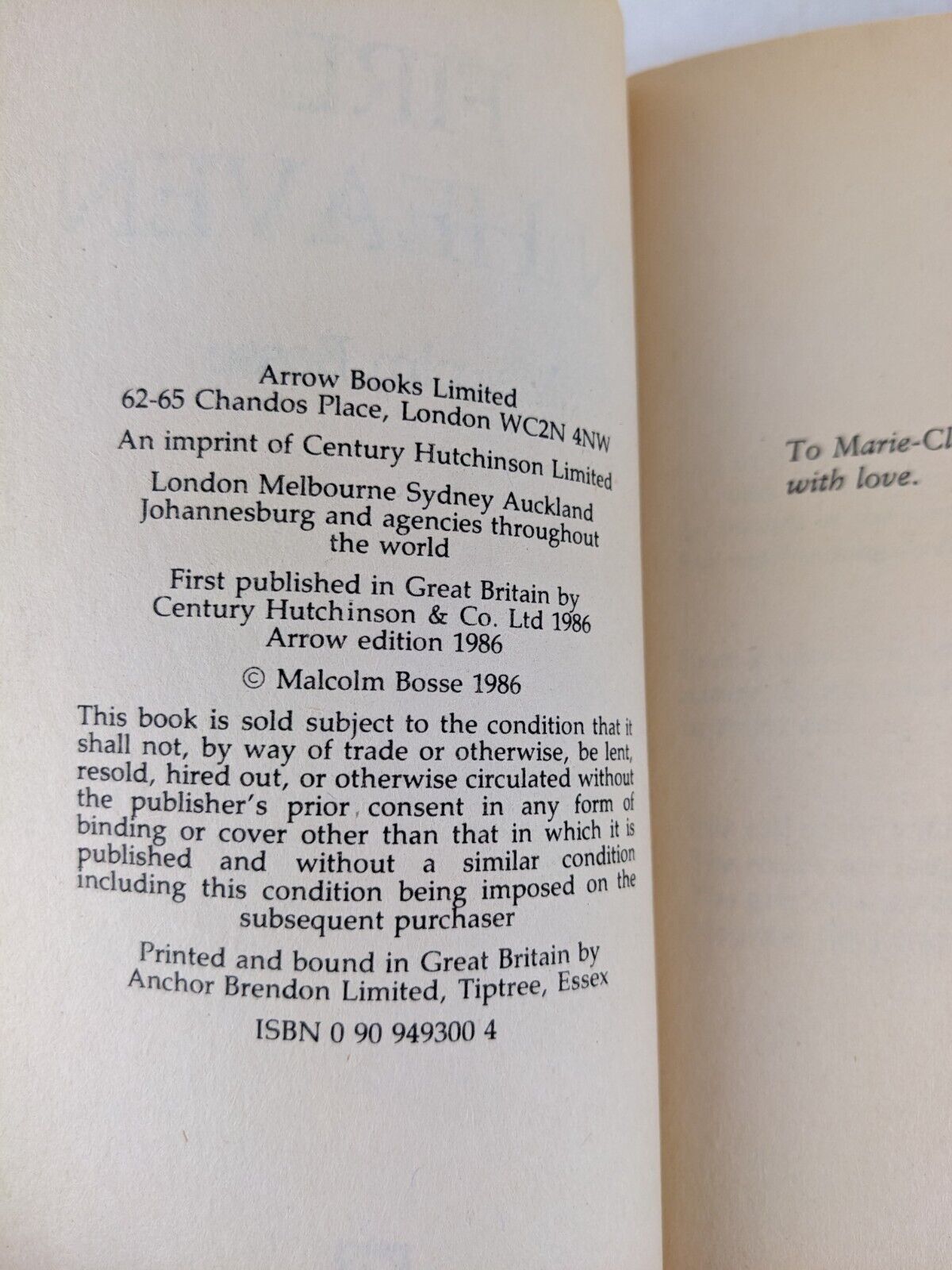 Fire in heaven by Malcolm Bosse 1986