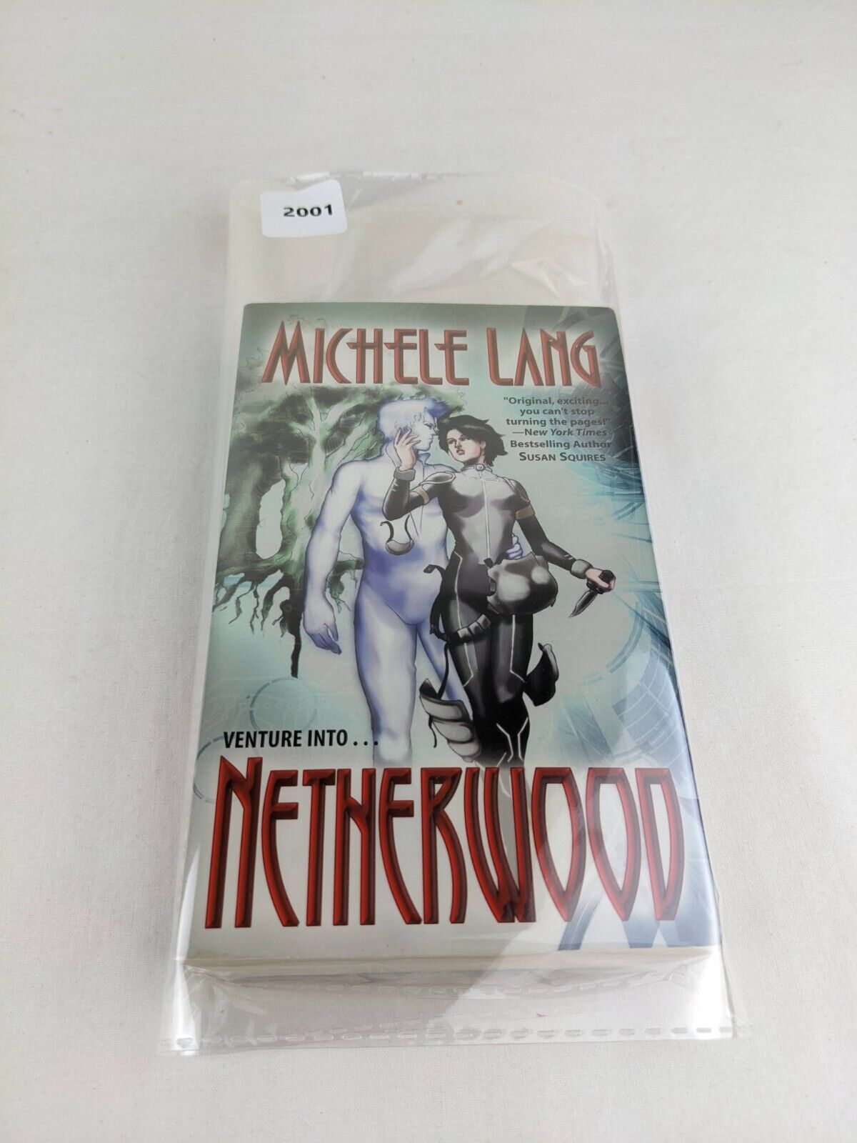 Netherwood by Michele Lang 2008
