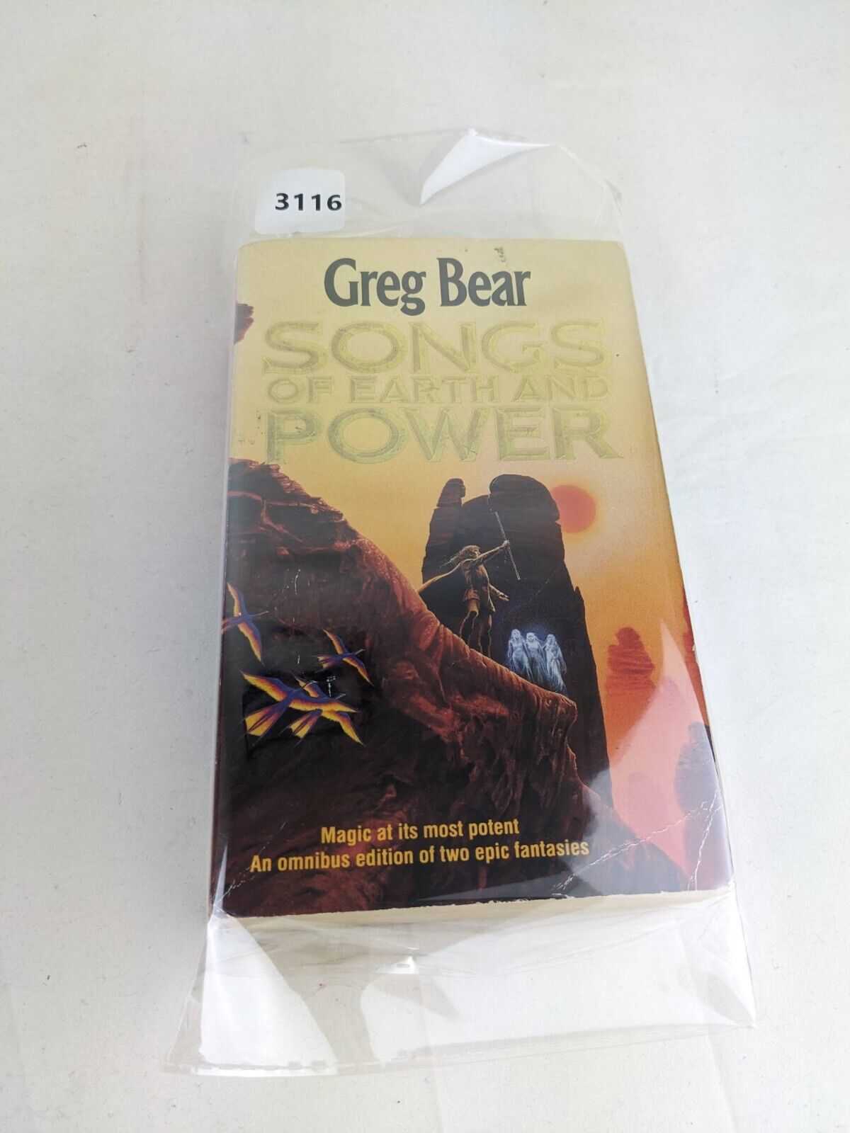 Songs of Earth and power by Greg Bear 1993