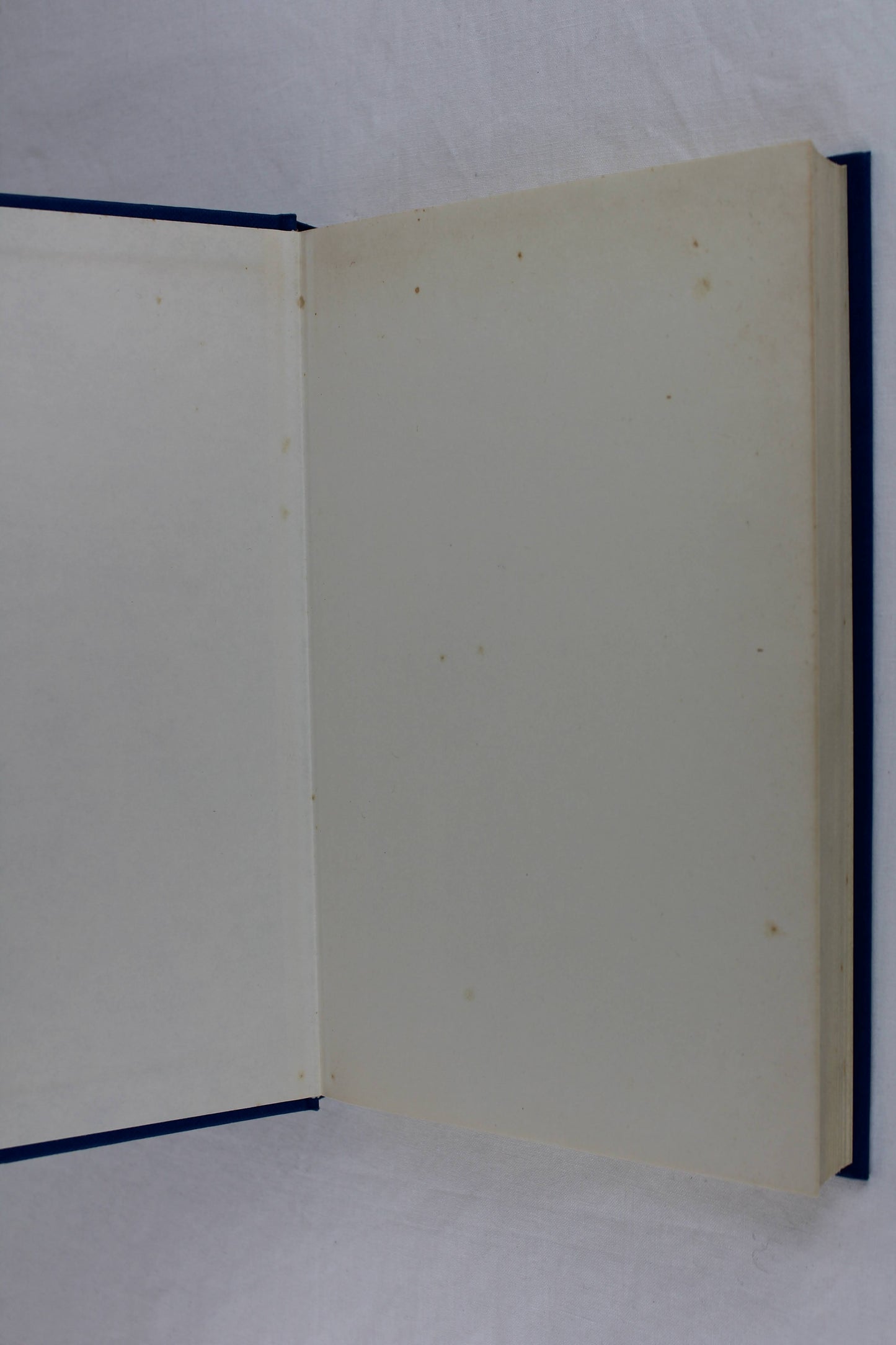 Raft by Stephen Baxter 1991 UK First Edition Hardcover - Xeelee Sequence