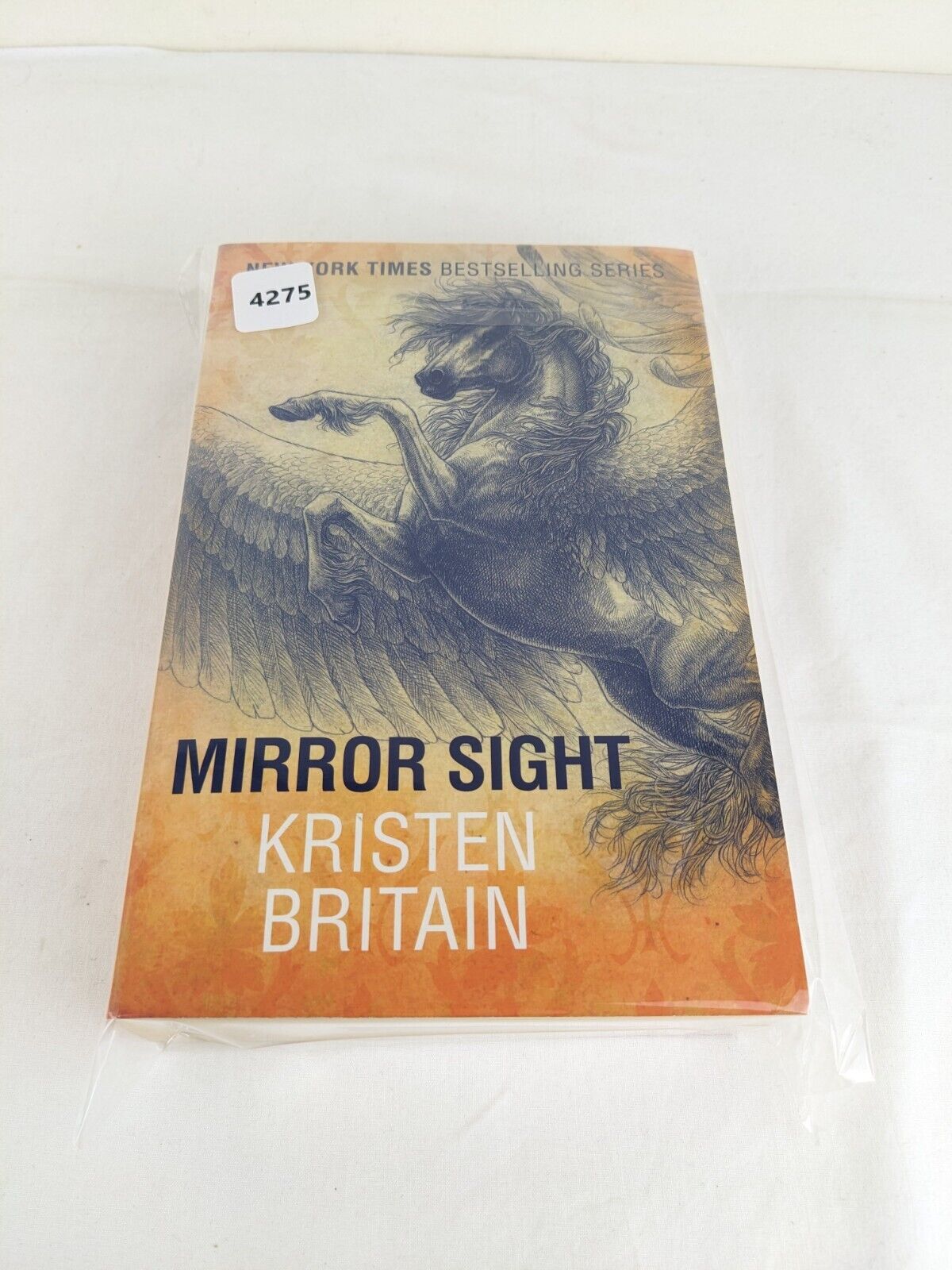 Mirror sight by Kristen Britain 2014 Green Rider