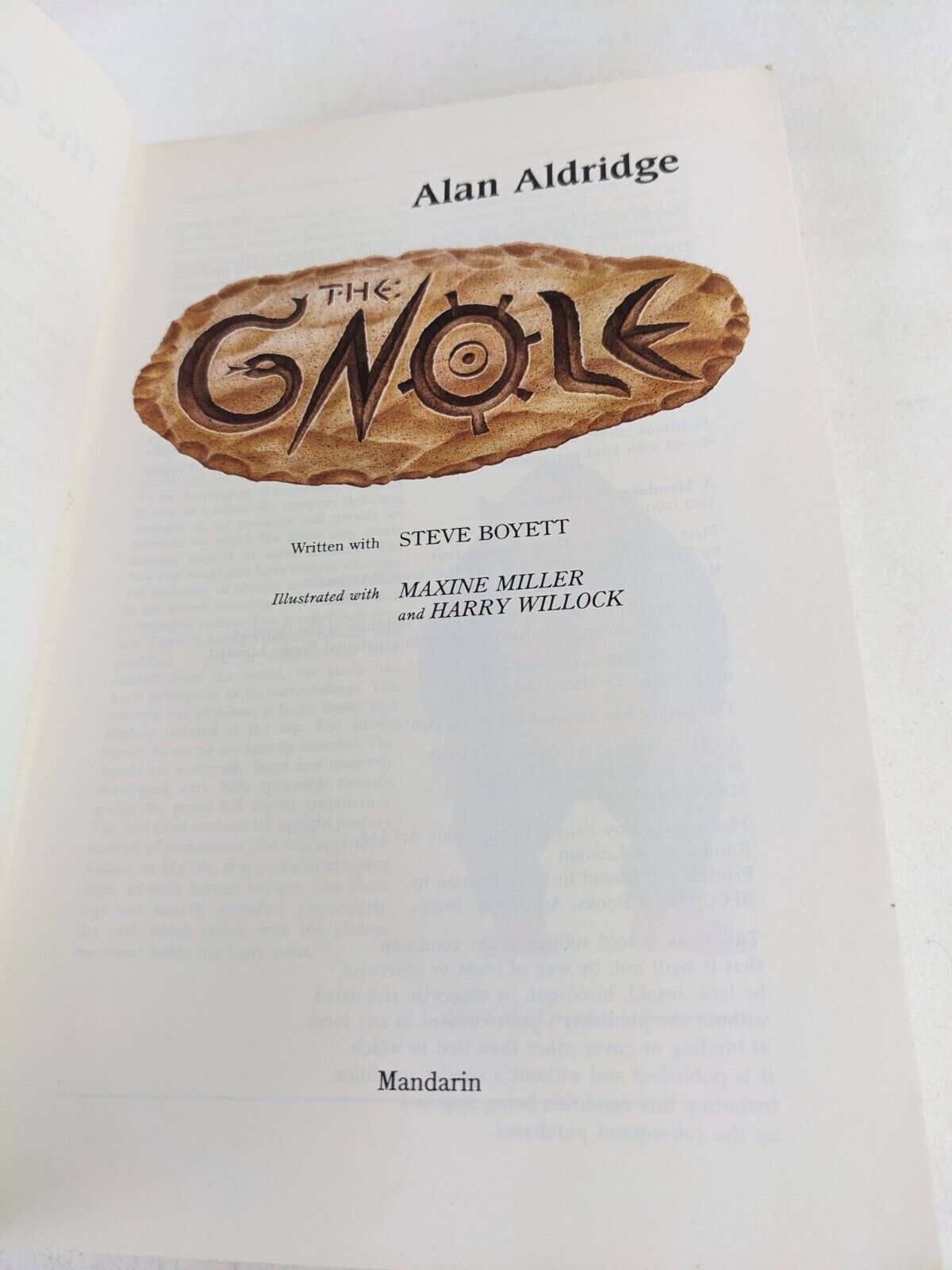 The Gnole by Alan Aldridge, Steve Boyett, Maxine Miller 1991