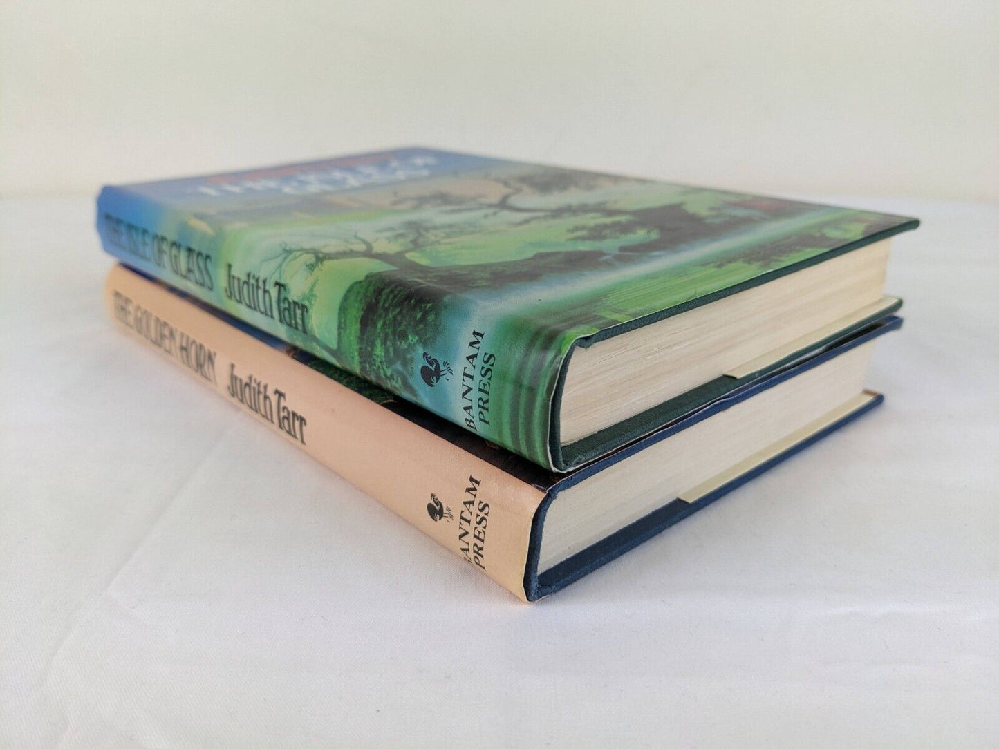 The hound and the falcon by Judith Tarr The isle of glass The golden horn 1986