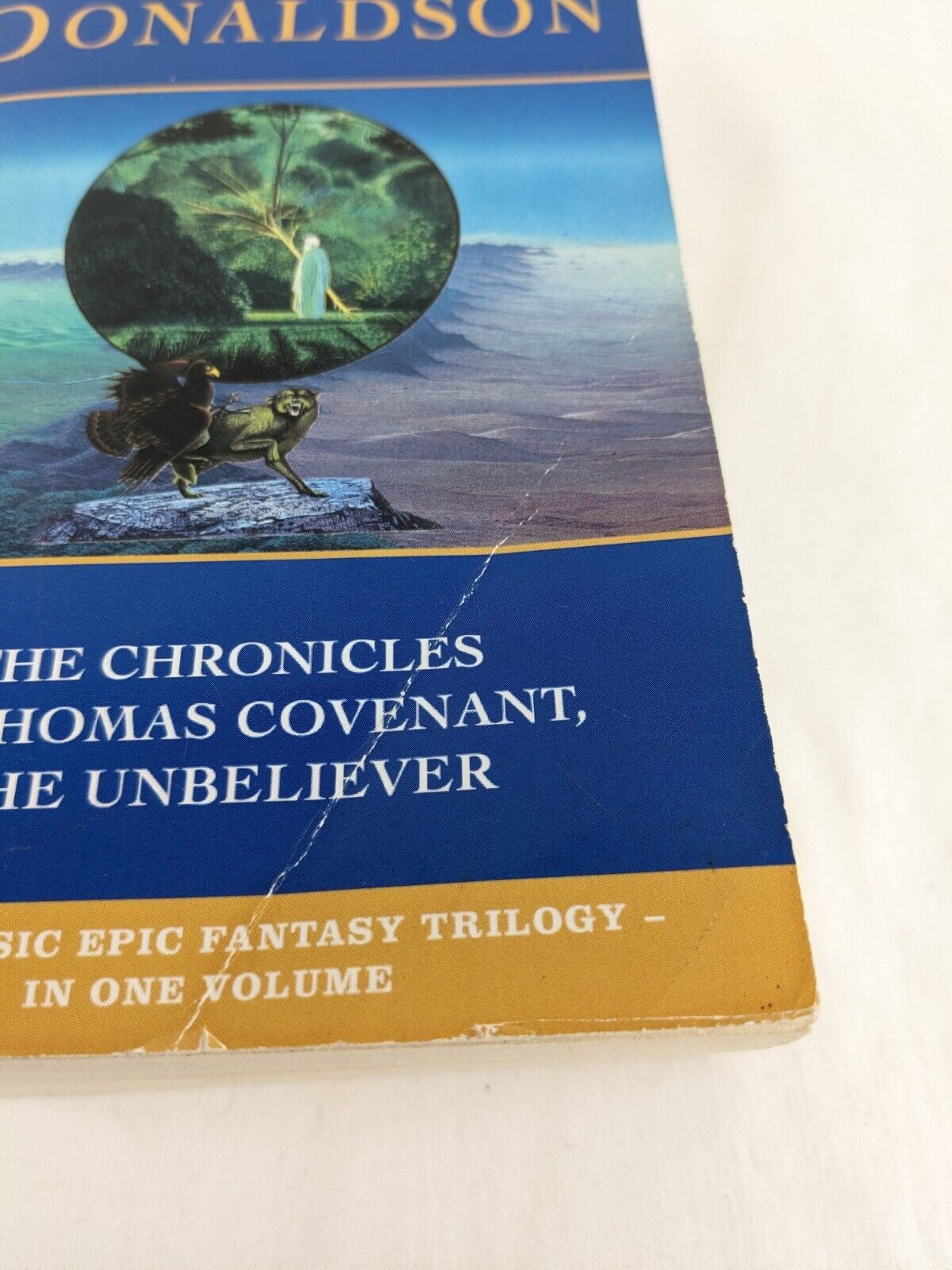 The chronicles of Thomas Covenant, the unbeliever by Stephen Donaldson 1996