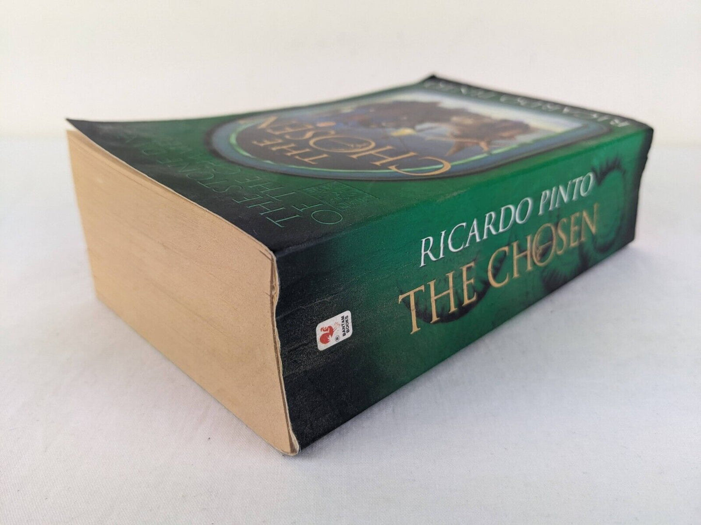 The chosen by Ricardo Pinto - The stone dance of the chameleon 1999