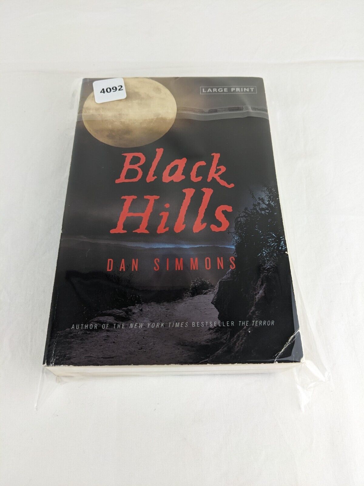 Black Hills by Dan Simmons 2010 First Large Print Edition