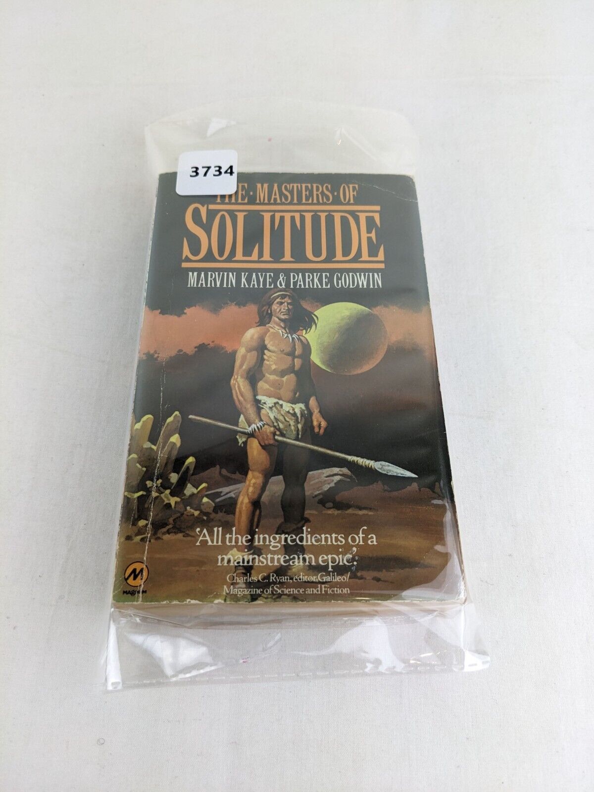 The masters of solitude by Marvin Kaye / Peake Godwin 1979