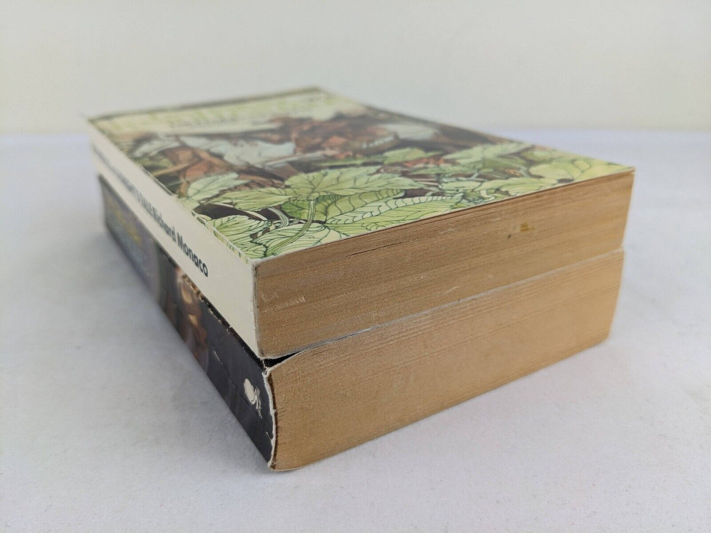 The Parsival Saga by Richard Monaco 1979 Knight's tale & Grail war