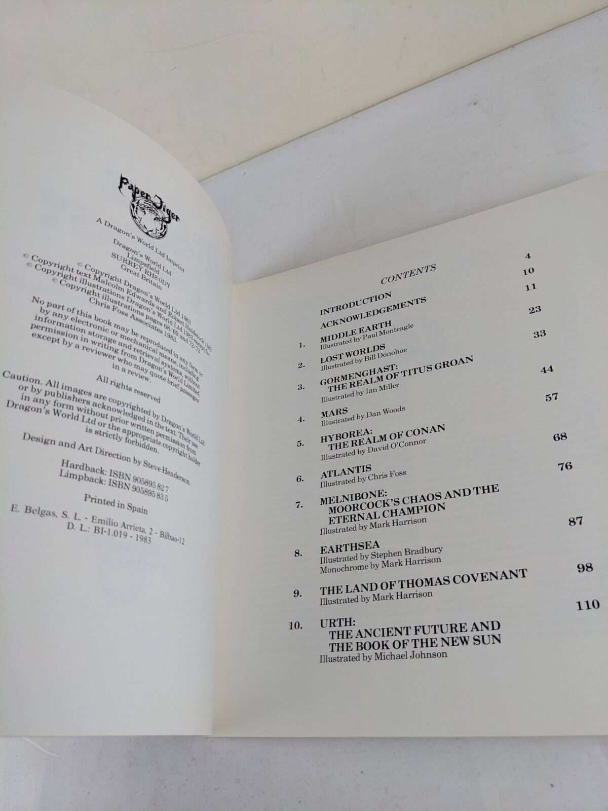 Realms of fantasy by Malcolm Edwards & Robert Holdstock 1983 Fantasy Art