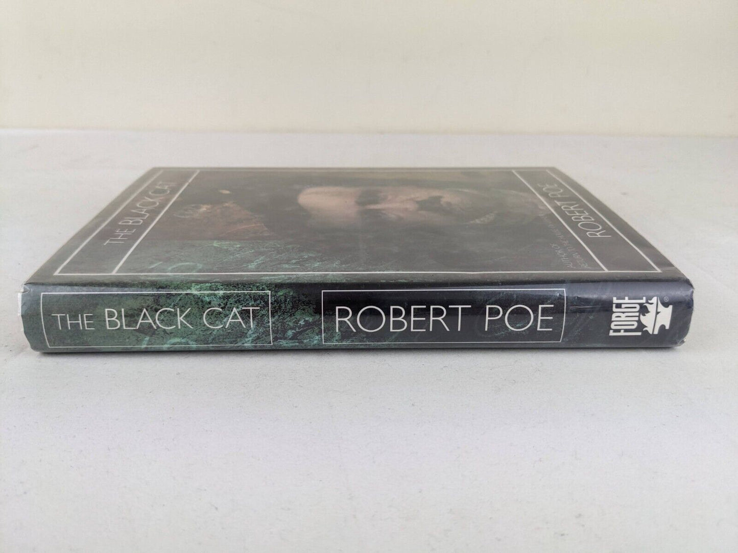 The black cat by Robert Poe 1997 First Edition Hardcover