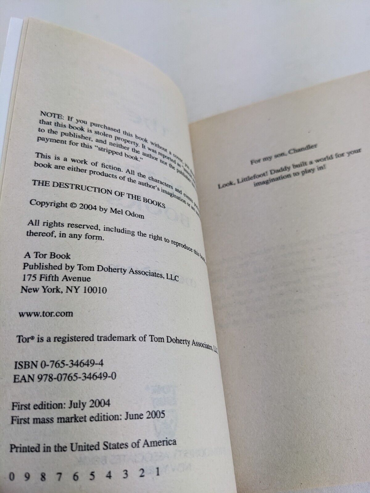 The destruction of the books by Mel Odom 2005 - The rover