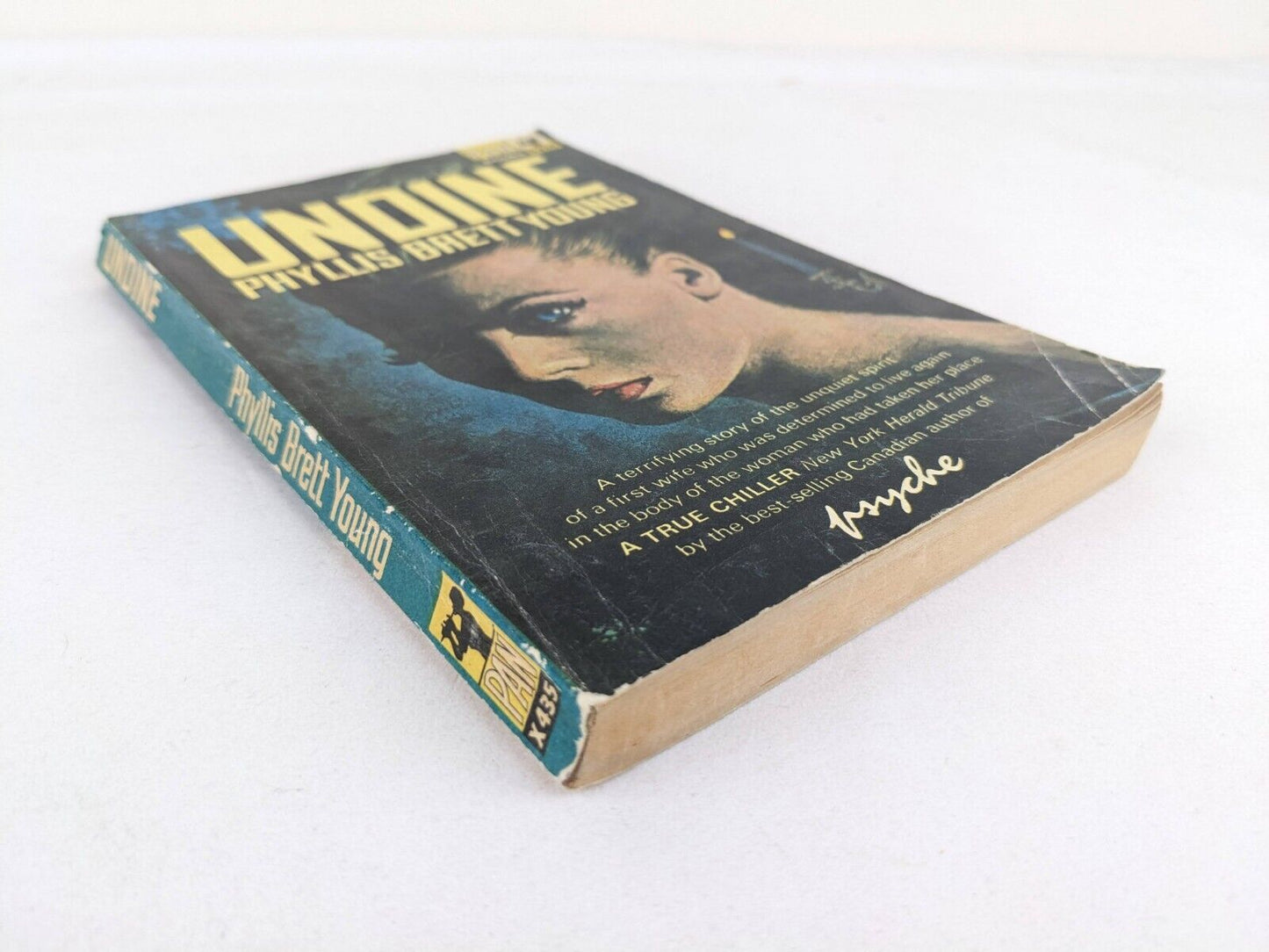 Undine by Phyllis Brett Young 1965 Vintage Pan Books