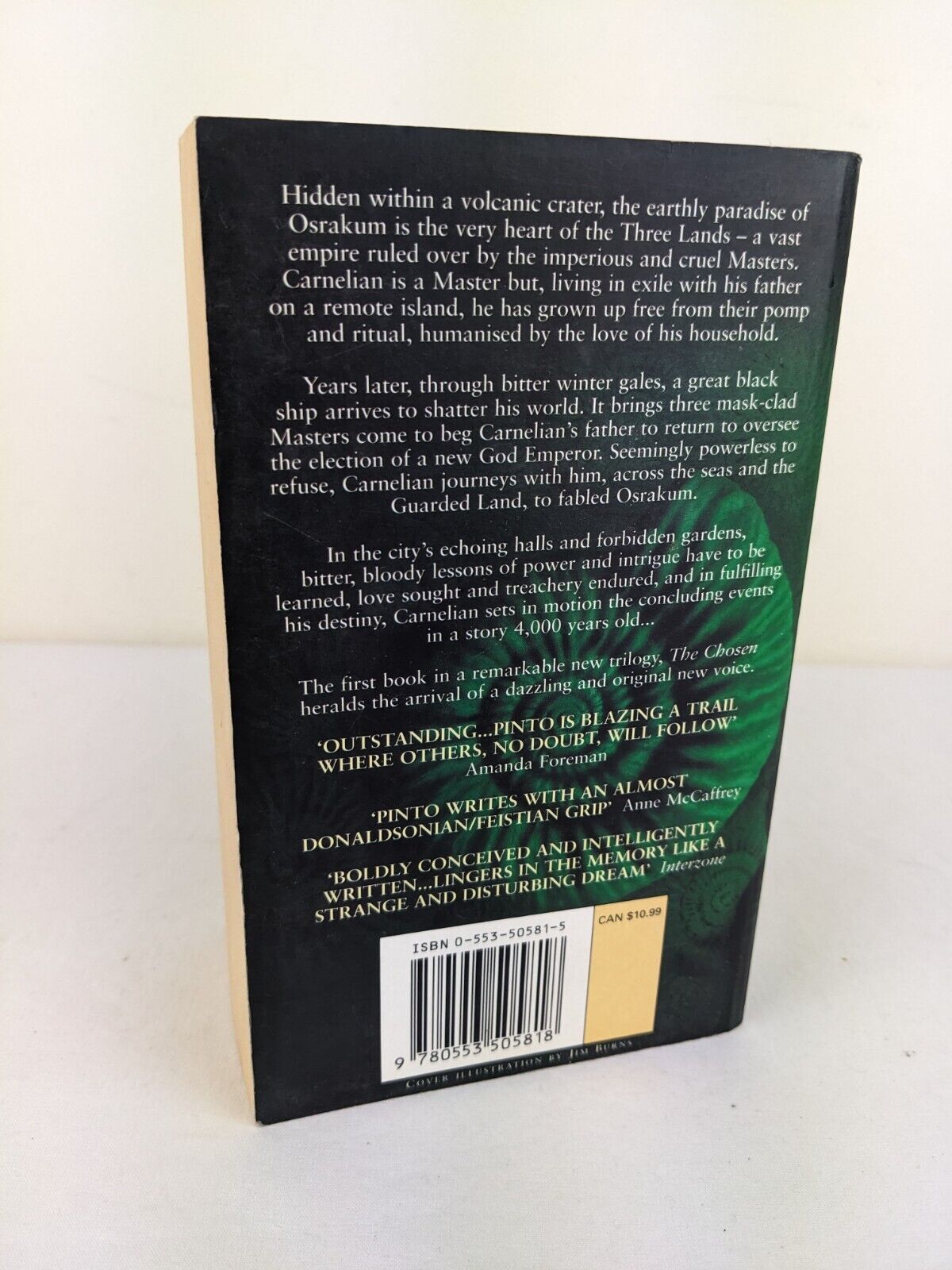 The chosen by Ricardo Pinto - The stone dance of the chameleon 1999