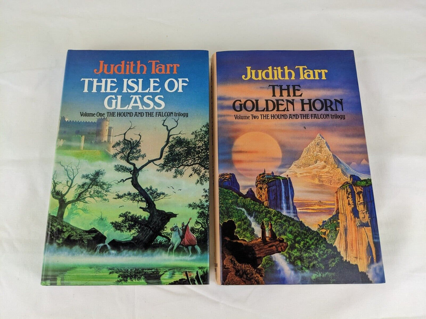 The hound and the falcon by Judith Tarr The isle of glass The golden horn 1986