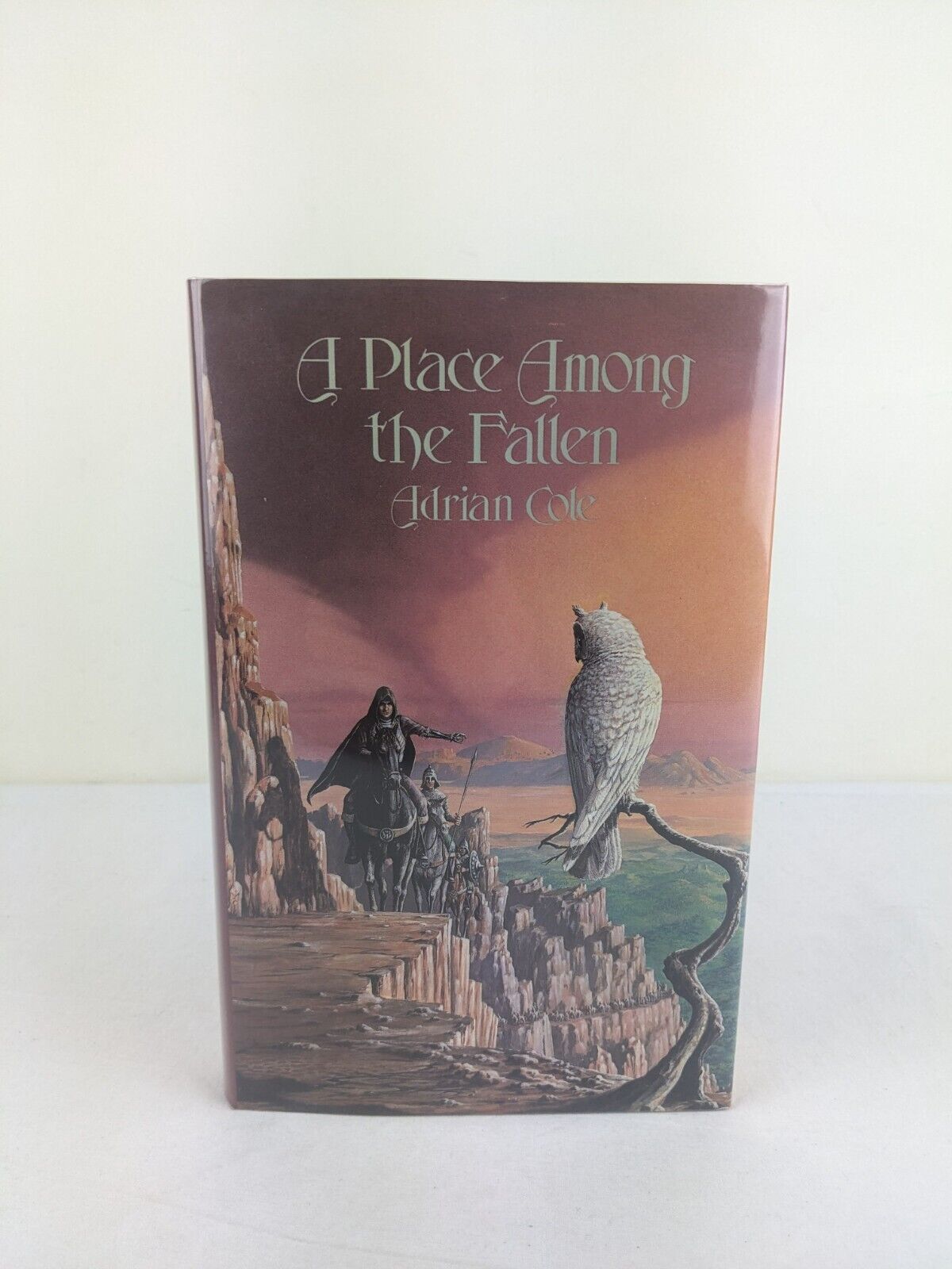 A place among the fallen by Adrian Cole 1986 Hardcover The Omaran Saga