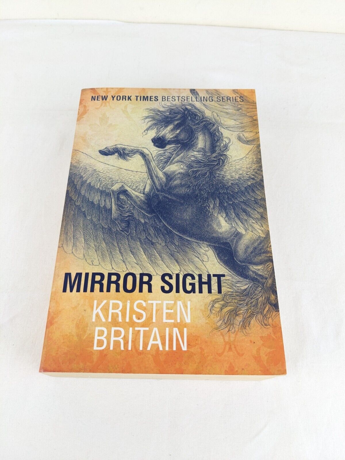 Mirror sight by Kristen Britain 2014 Green Rider