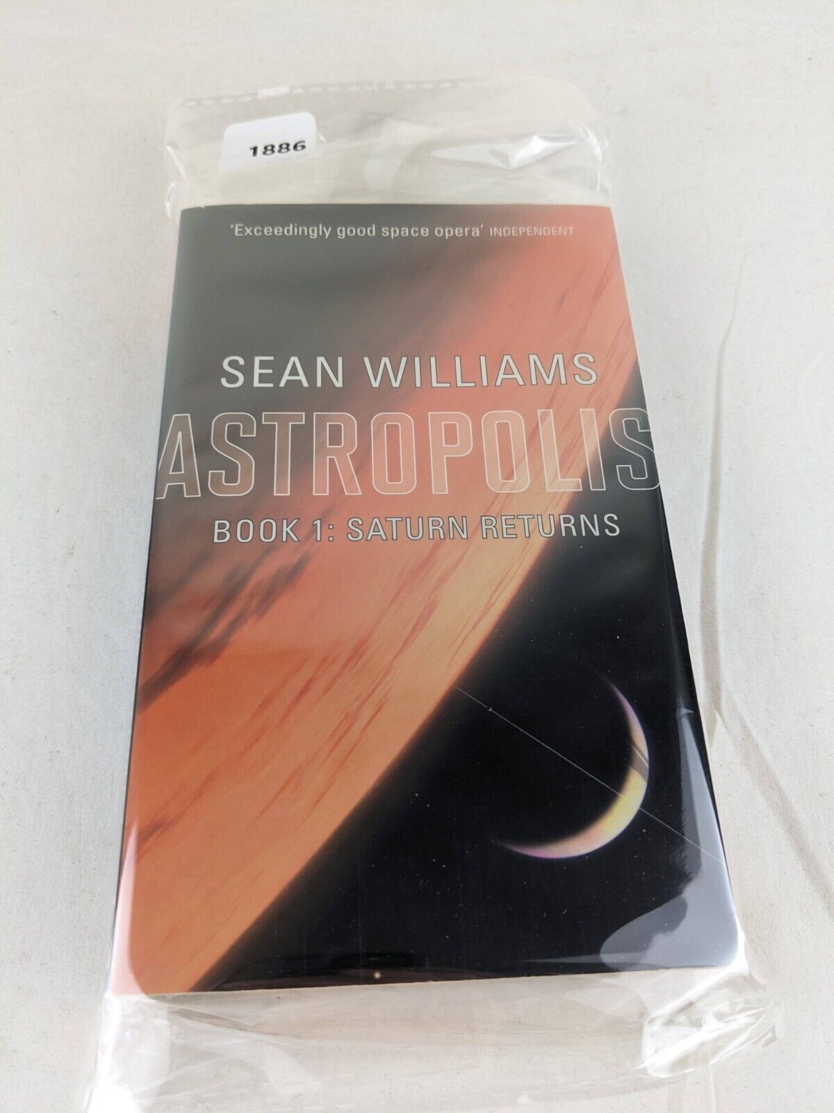 Saturn Returns by Sean Williams 2008 Astropolis