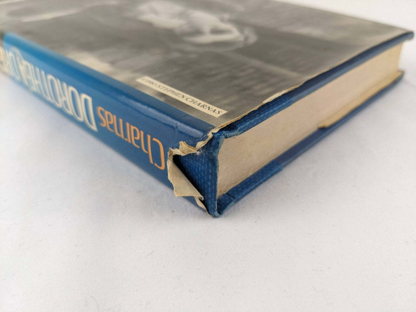 Dorothea dreams by Suzy McKee Charnas hardcover 1986