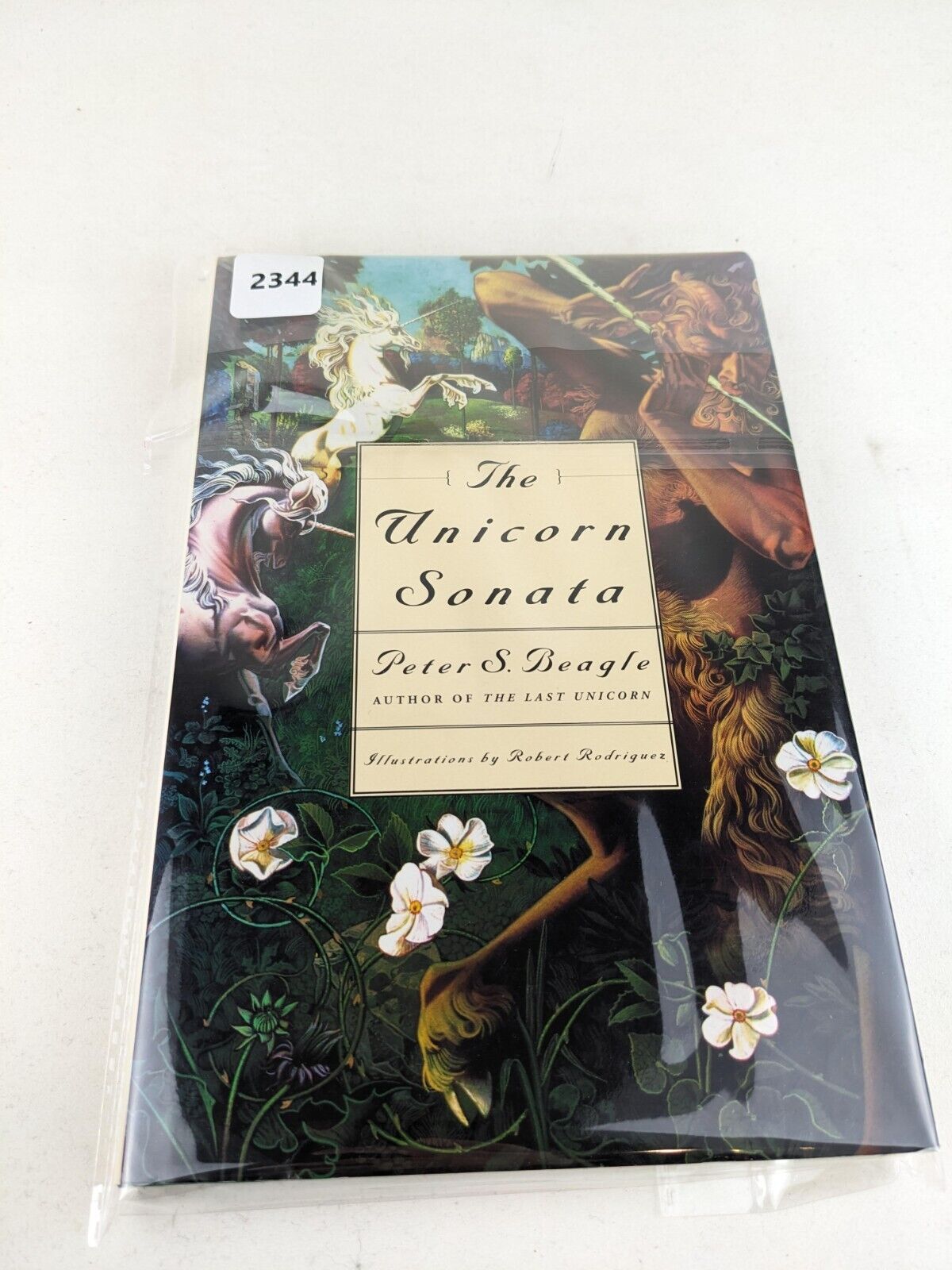 The unicorn Sonata by Peter S. Beagle, Illustrated Hardcover 1996