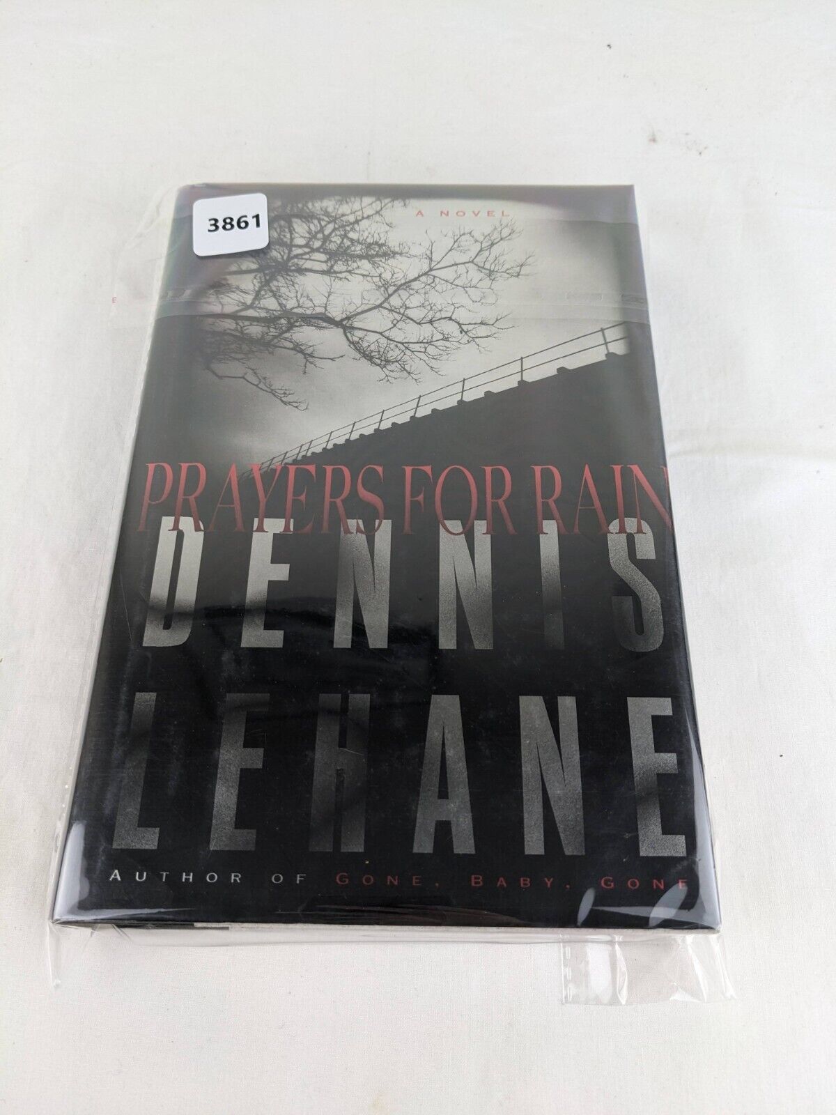 Prayers for rain by Dennis Lehane 1999 First Edition Hardcover