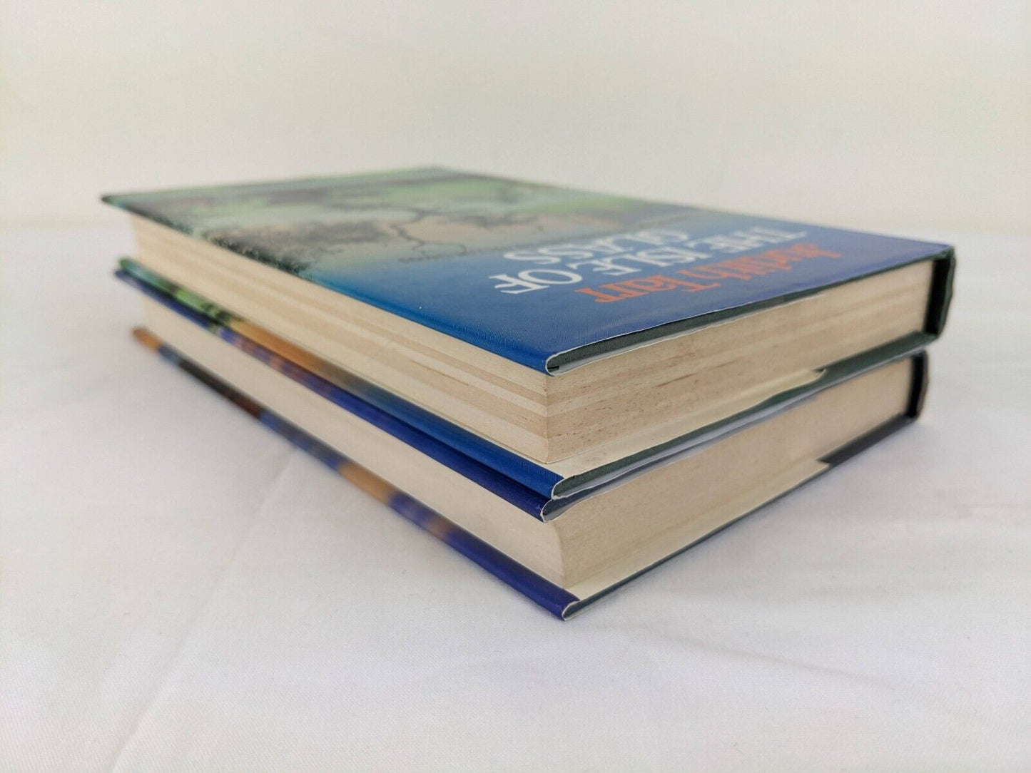 The hound and the falcon by Judith Tarr The isle of glass The golden horn 1986