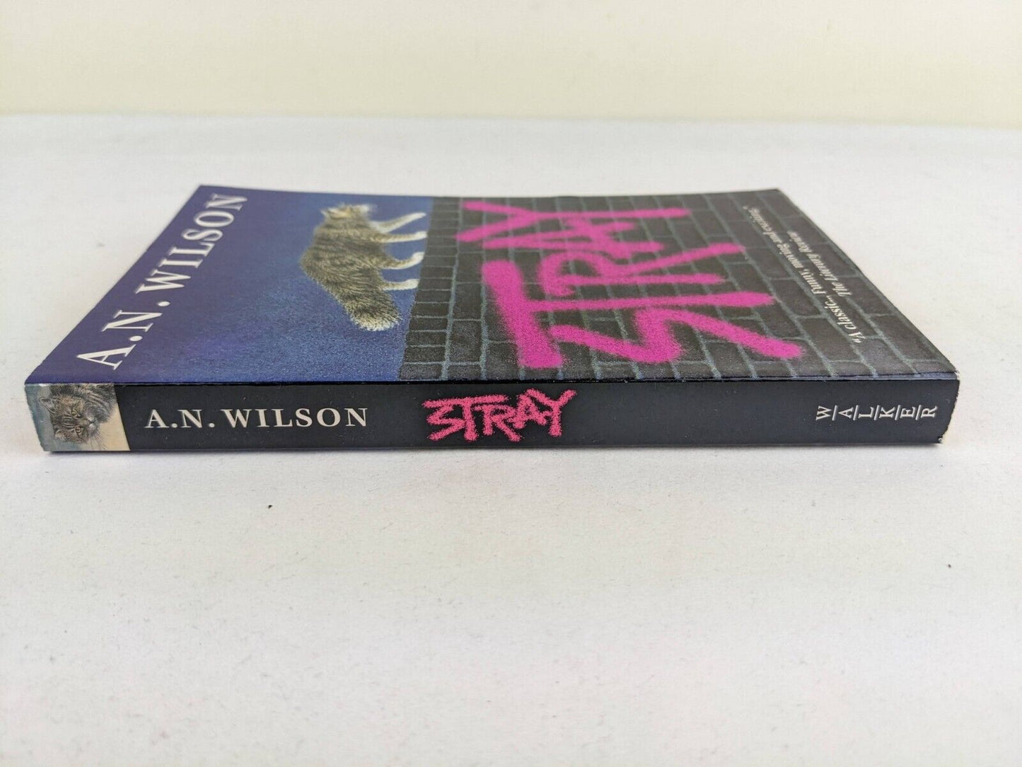 Stray by A.N. Wilson 2002
