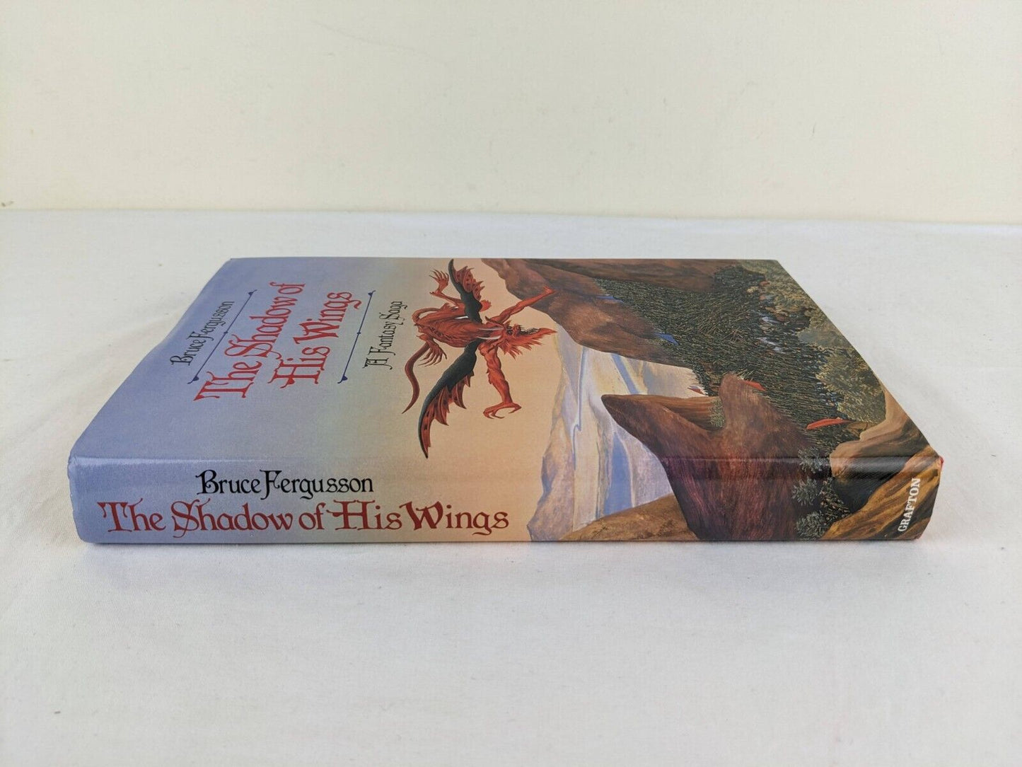 The shadows of his wings by Bruce Fergusson 1987 Hardcover UK First Edition