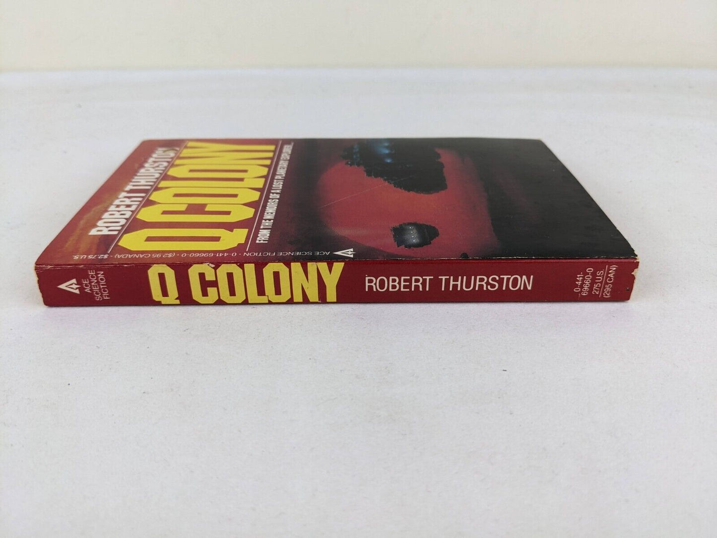 Q colony by Robert Thurston 1985