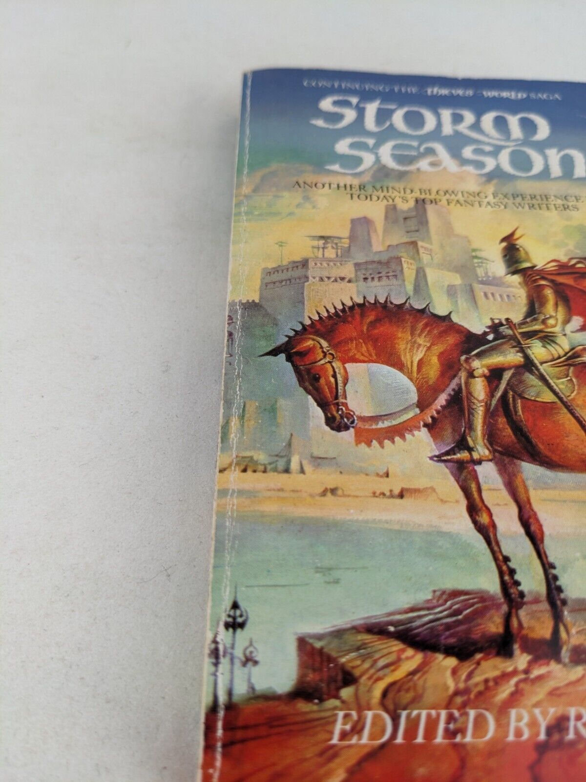 Storm season edited by Robert Asprin 1985 Thieves world