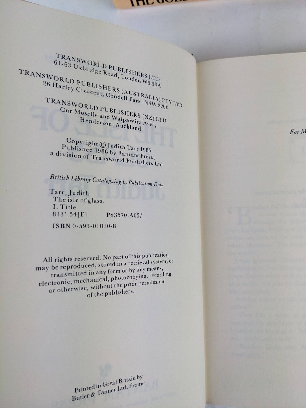 The hound and the falcon by Judith Tarr The isle of glass The golden horn 1986