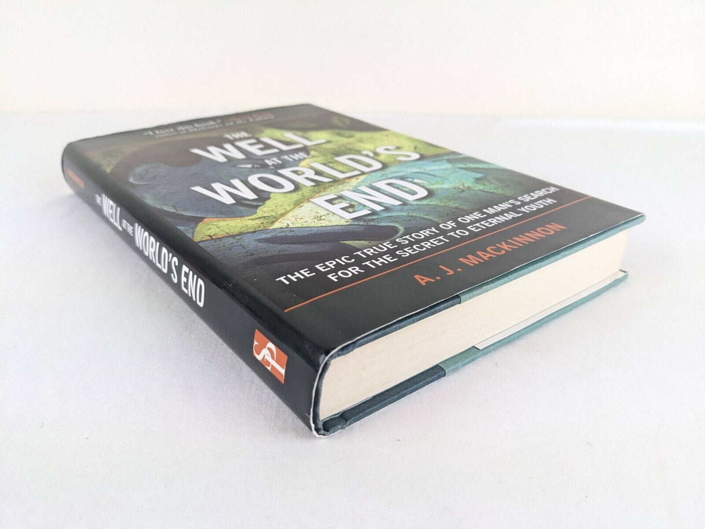 The well at the world's end by A.J. Mackinnon 2011 Hardcover