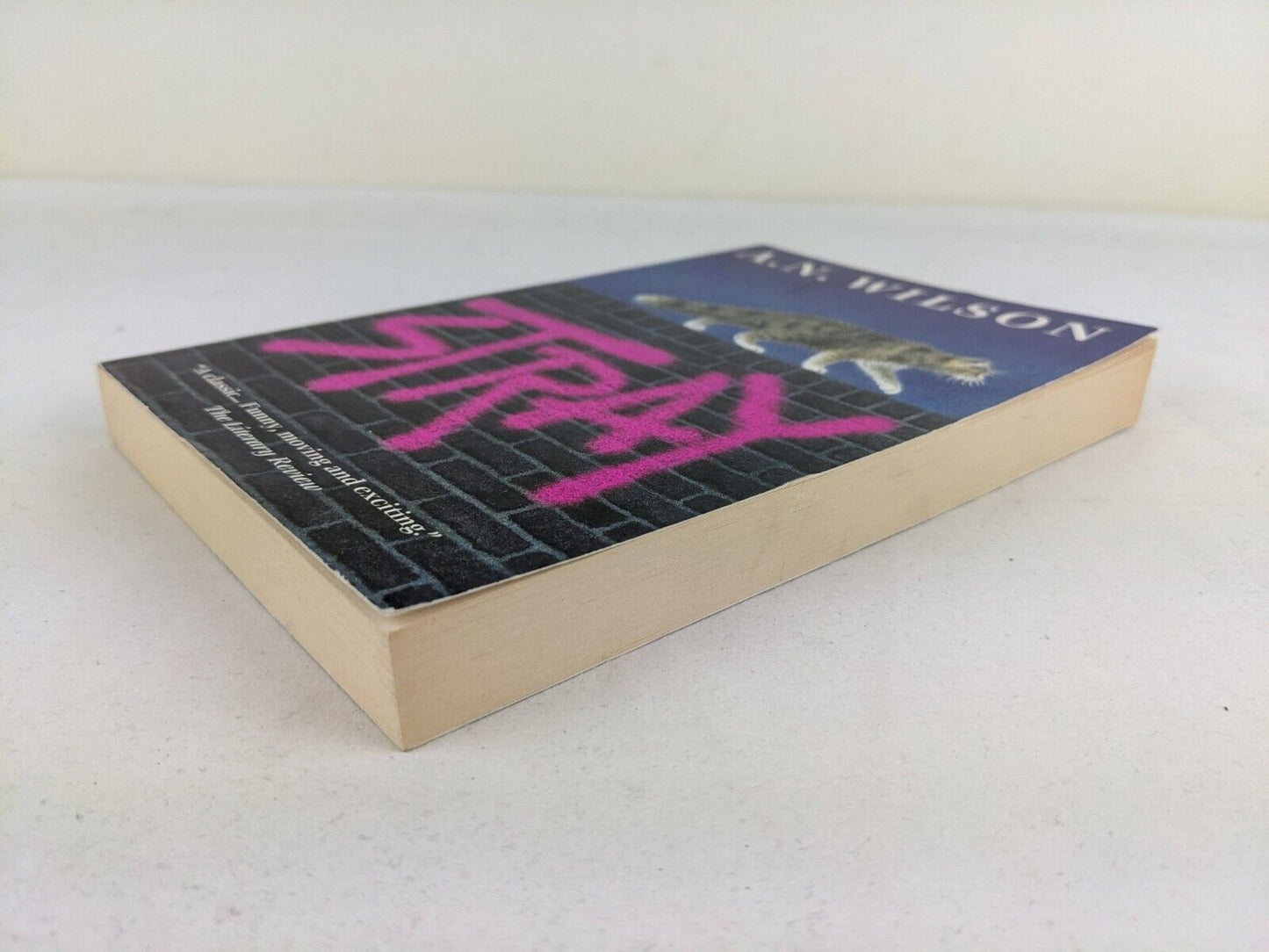 Stray by A.N. Wilson 2002