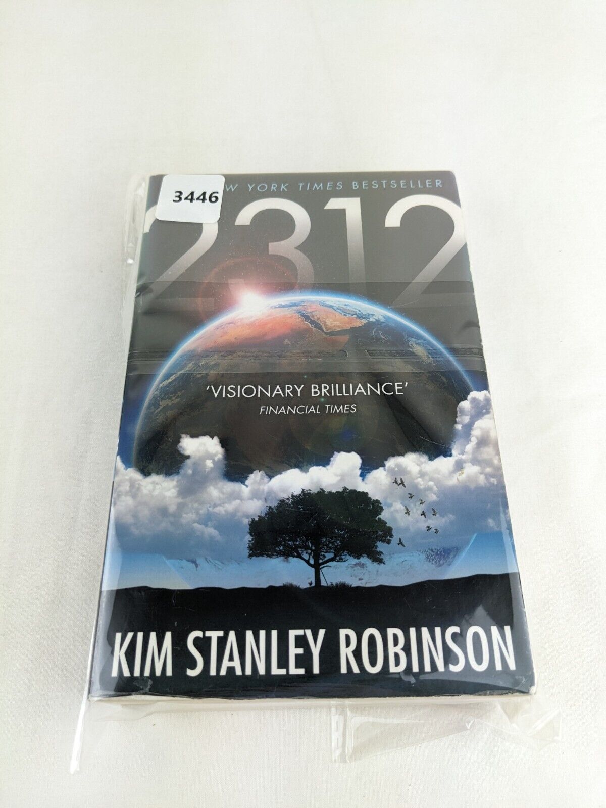 2312 by Kim Stanley Robinson 2013