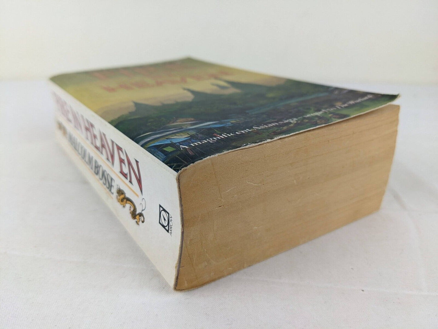 Fire in heaven by Malcolm Bosse 1986