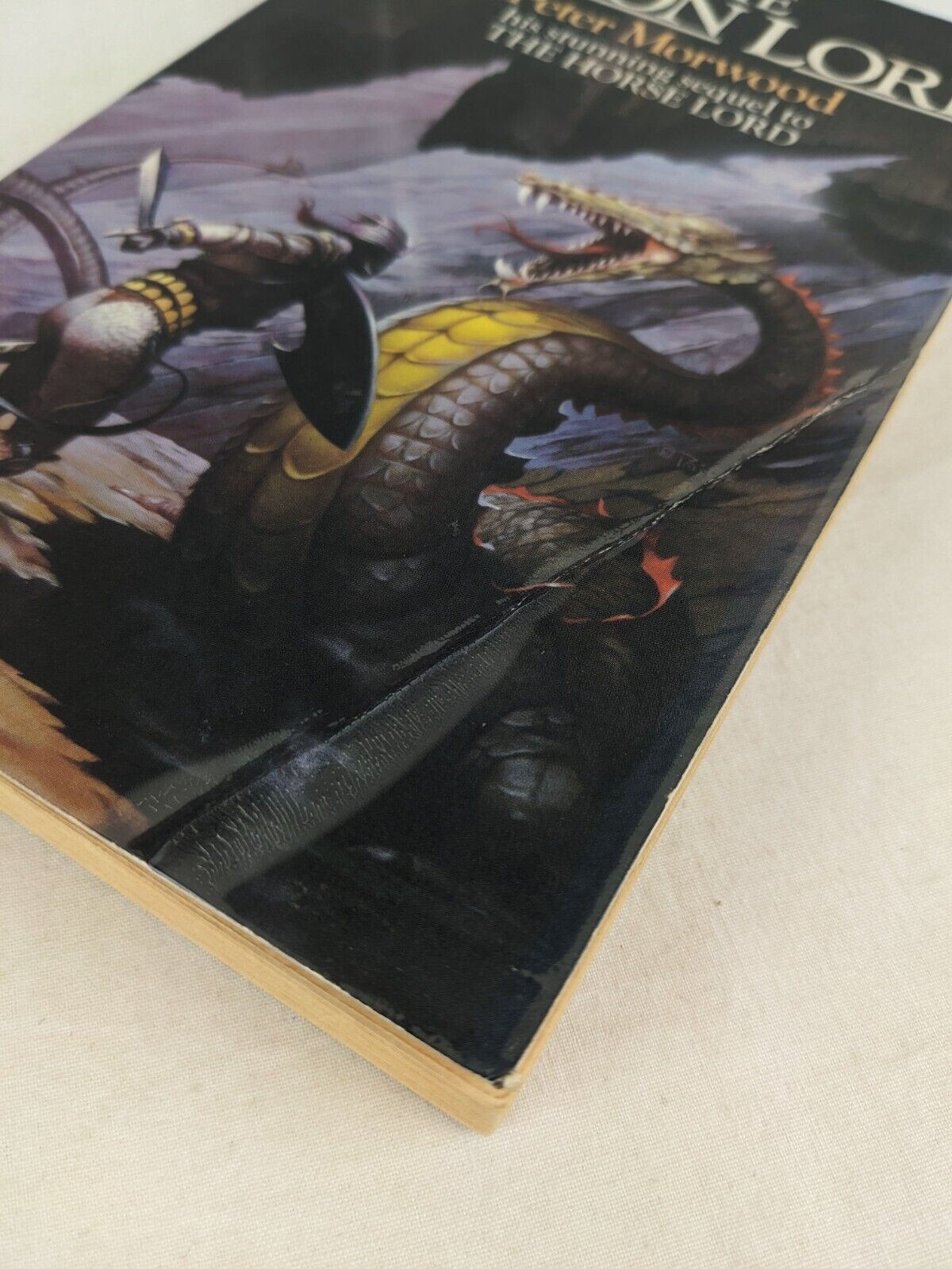 The demon lord by Peter Morwood 1984 Book of years Century