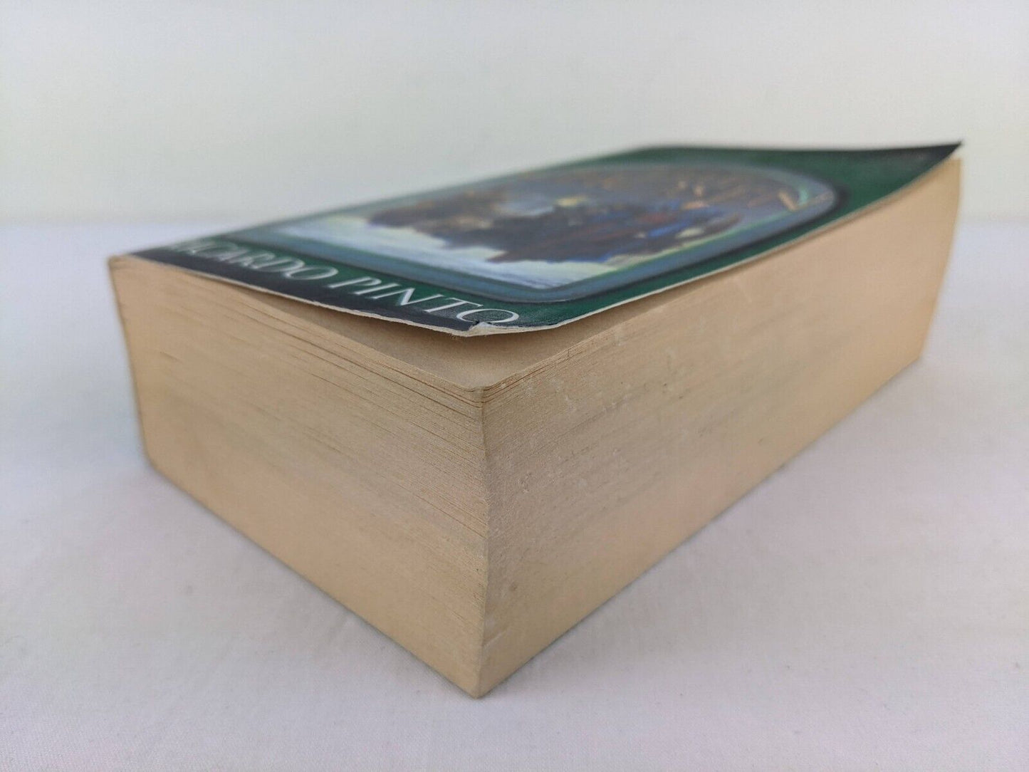 The chosen by Ricardo Pinto - The stone dance of the chameleon 1999