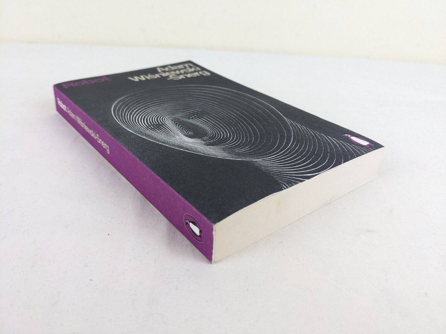 Robot by Adam Wisniewski-Snerg 2021 translated by Tomasz Mirkowicz Scifi