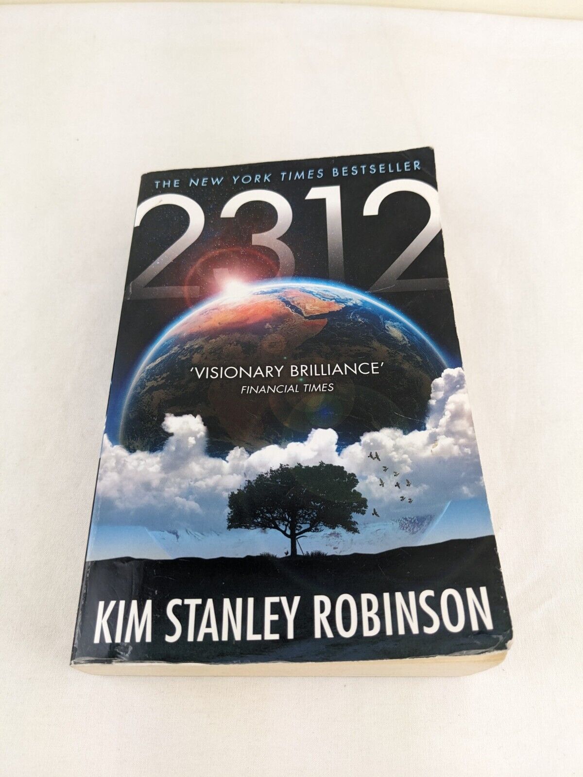 2312 by Kim Stanley Robinson 2013