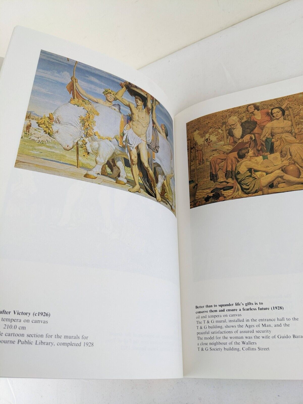 The art of M. Napier Waller by Nicholas Draffin 1978