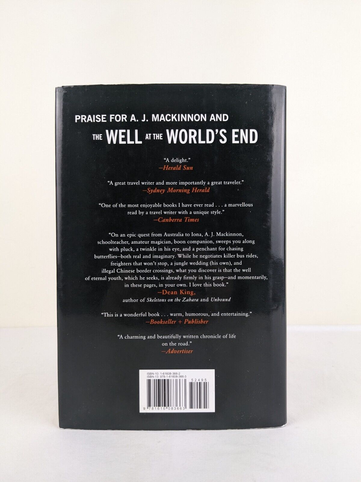 The well at the world's end by A.J. Mackinnon 2011 Hardcover