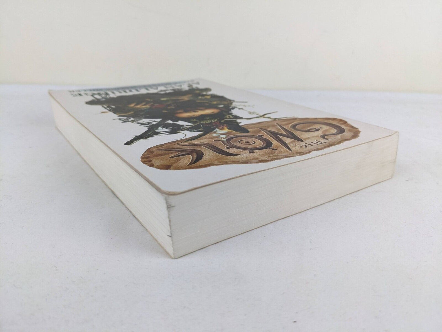 The Gnole by Alan Aldridge, Steve Boyett, Maxine Miller 1991