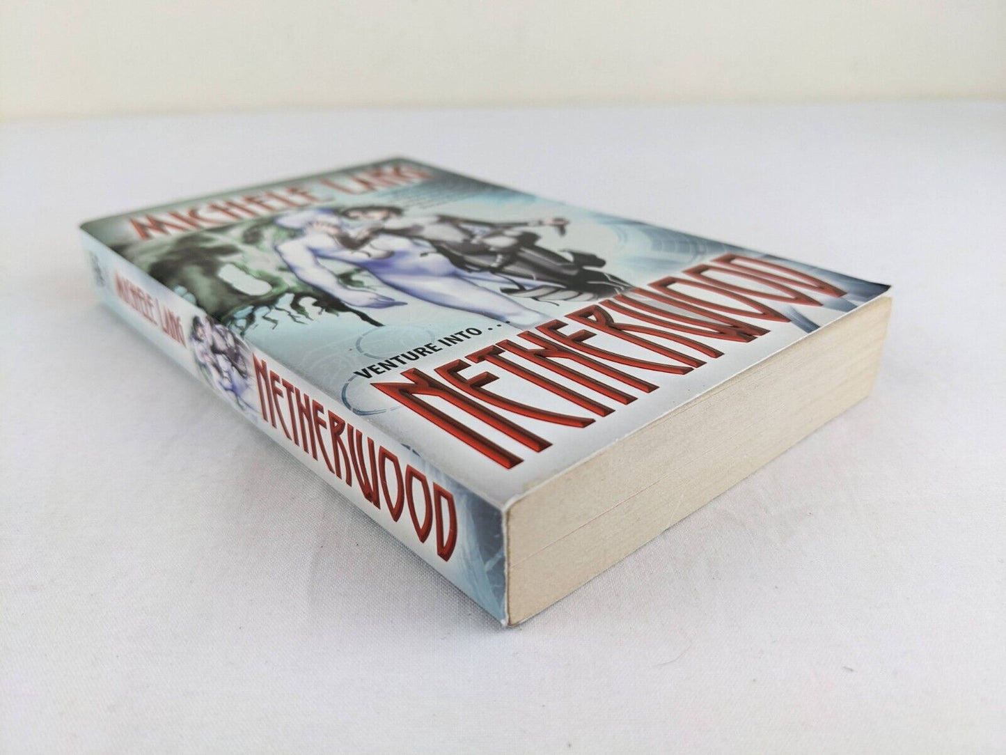 Netherwood by Michele Lang 2008