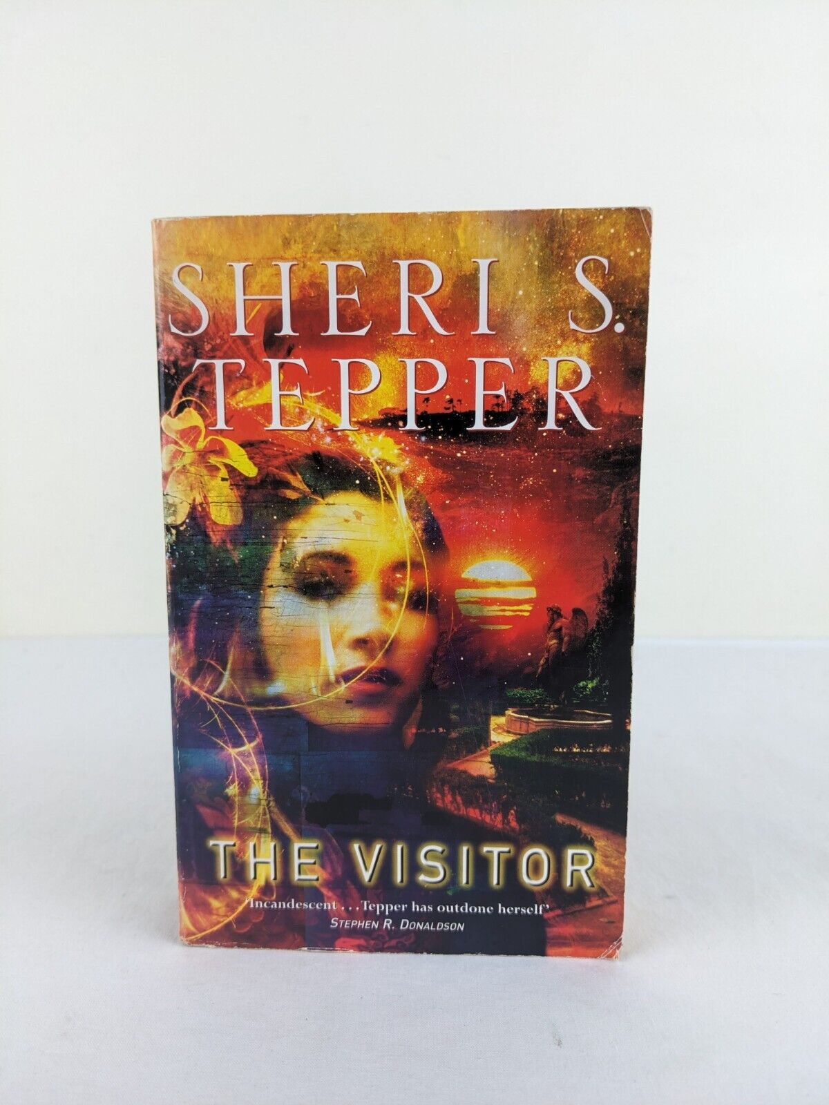 The visitor by Sheri S. Tepper 2003