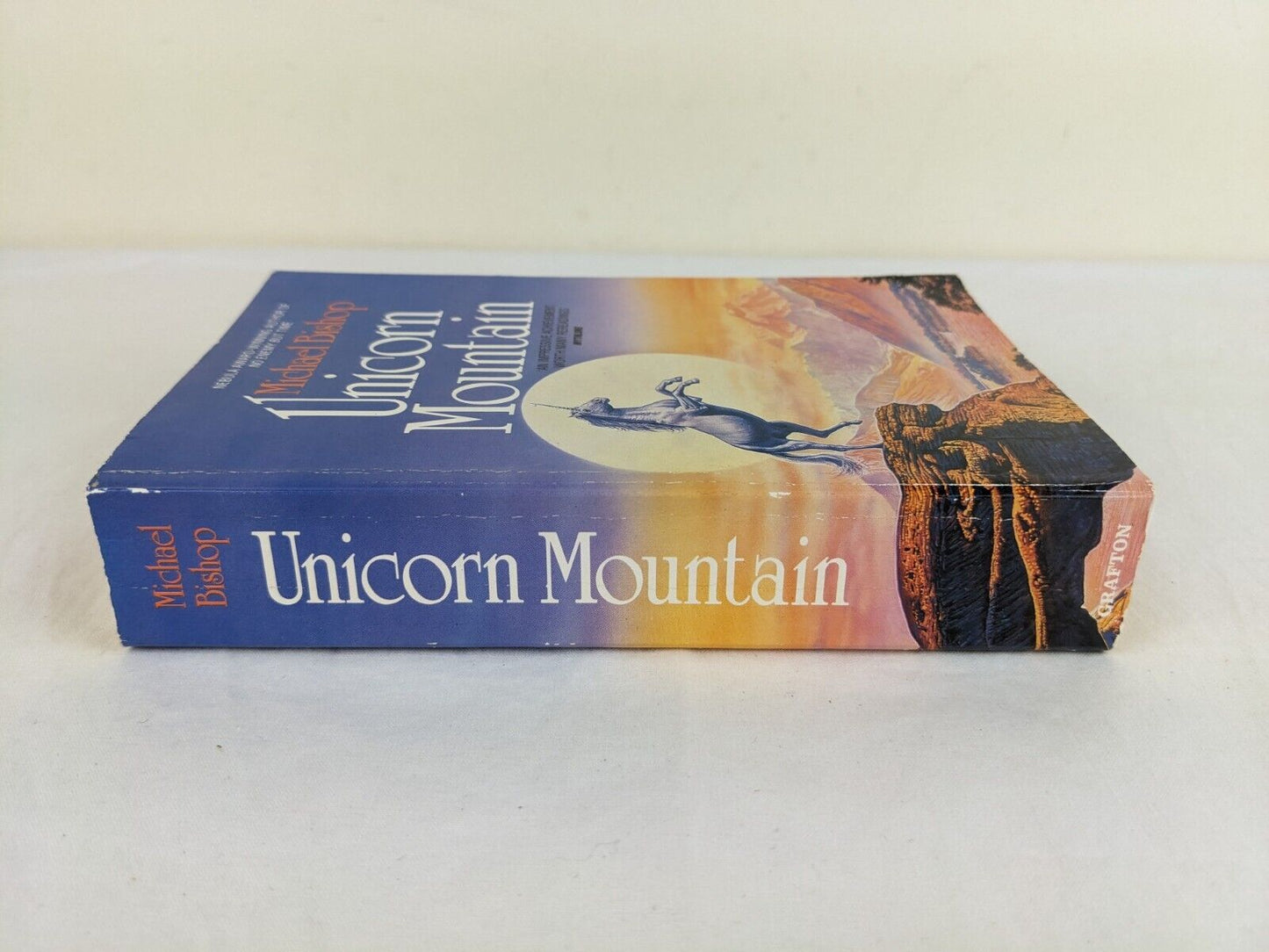 Unicorn mountain by Michael Bishop 1990