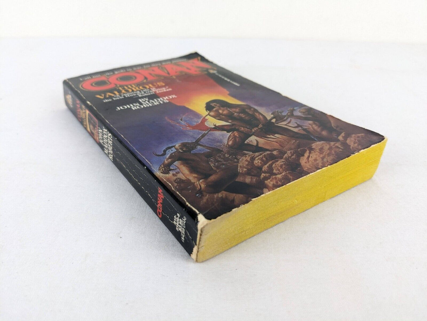 Conan the Valorous by John Maddox Roberts 1986 TOR