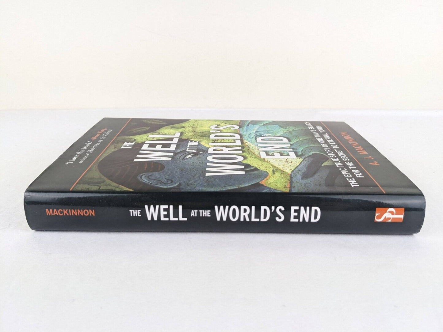 The well at the world's end by A.J. Mackinnon 2011 Hardcover